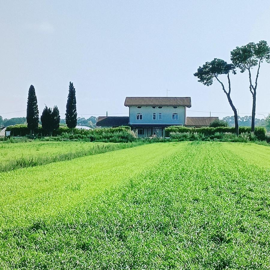 La Ricarda Dimora Di Campagna Bed & Breakfast Paestum Exterior foto