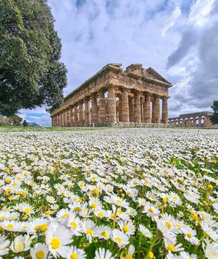 La Ricarda Dimora Di Campagna Bed & Breakfast Paestum Exterior foto
