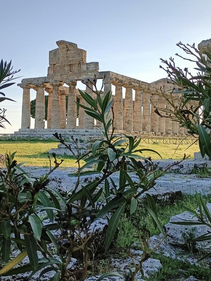 La Ricarda Dimora Di Campagna Bed & Breakfast Paestum Exterior foto